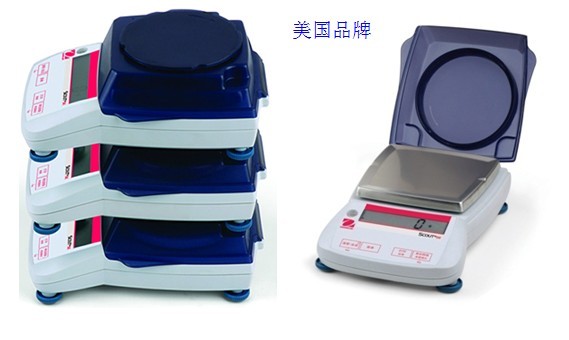 便攜式電子天平